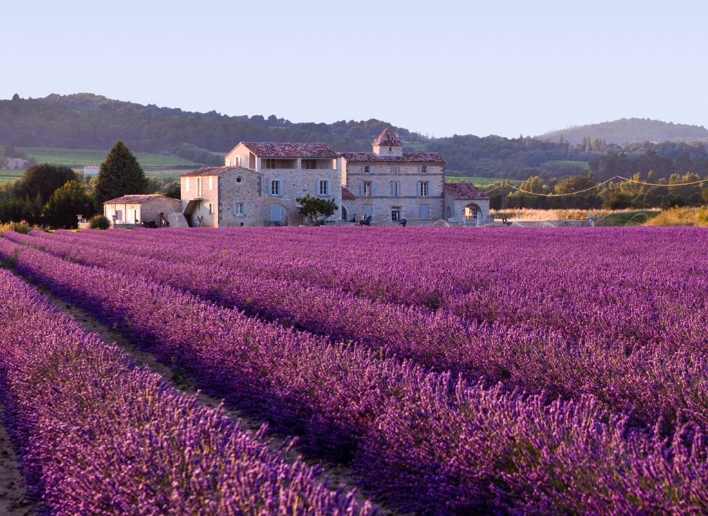327852xcitefun-lavender-fields-provence-france-2